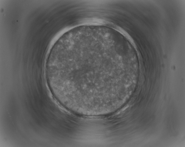 X0000087411488200705181345