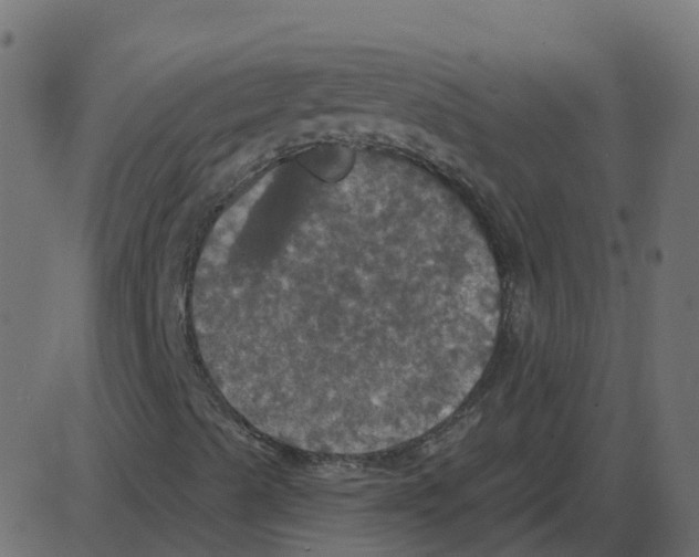 X0000087411489200705181344