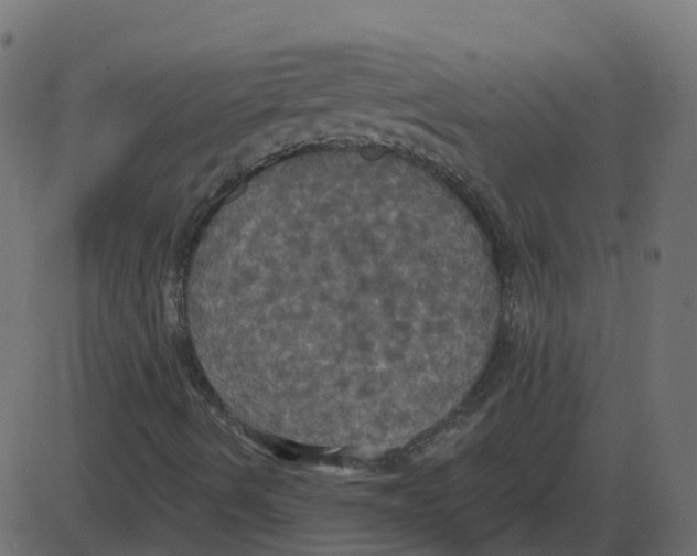 X0000087411490200705181344