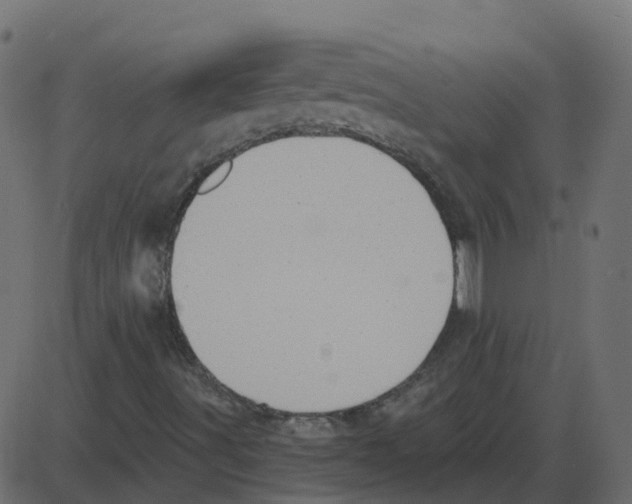 X0000087411491200705181344