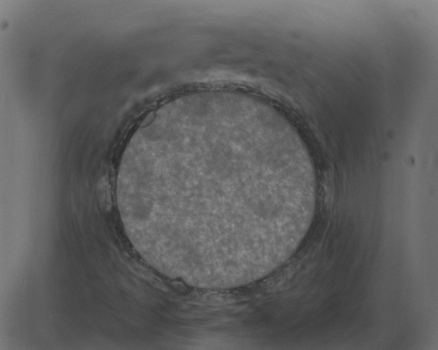 X0000087411493200705181344