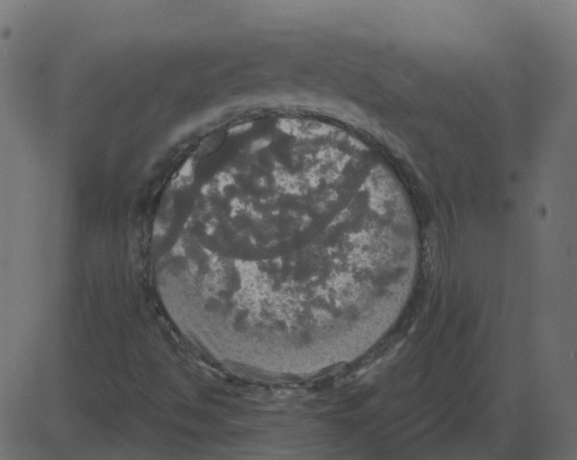 X0000087411494200705181344