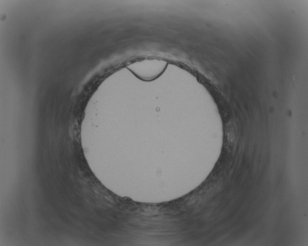 X0000087411495200705181344