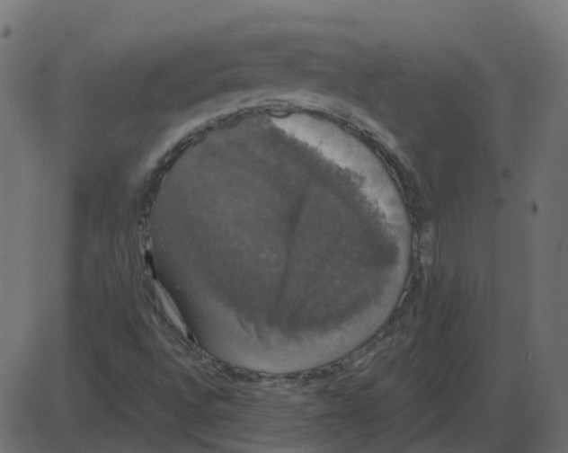 X0000087411496200705181344