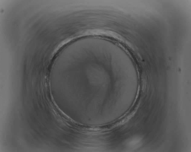 X0000087411497200705181344