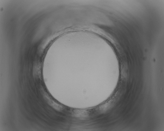 X0000087411498200705181344