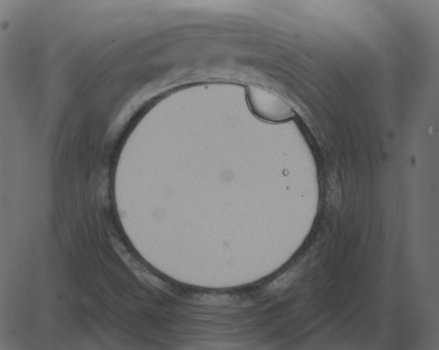 X0000087411499200705181344