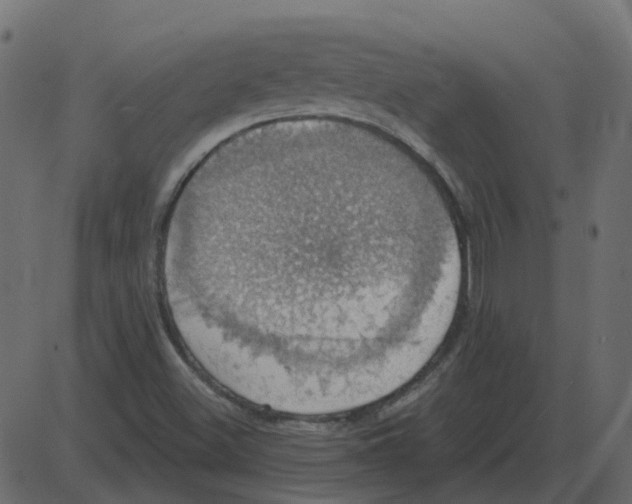 X0000087411500200705181344