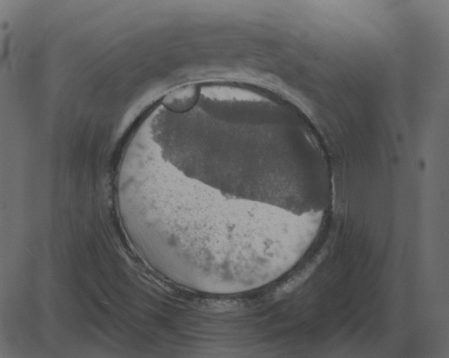 X0000087411501200705181344