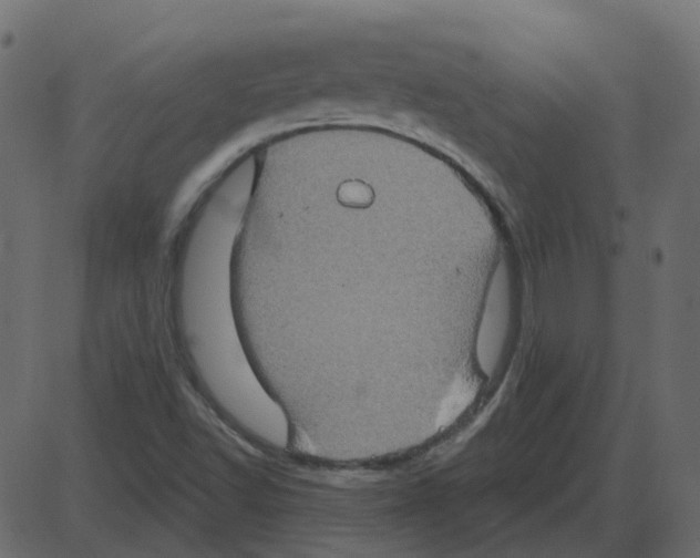 X0000087411502200705181344