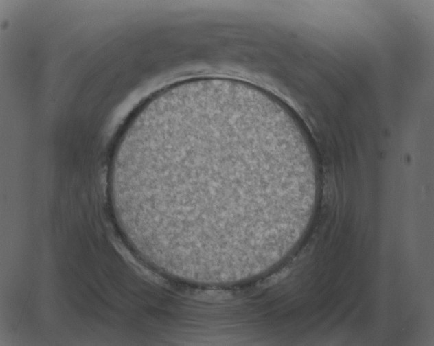 X0000087411503200705181344