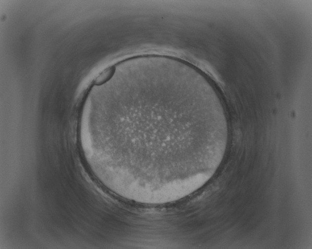 X0000087411504200705181344