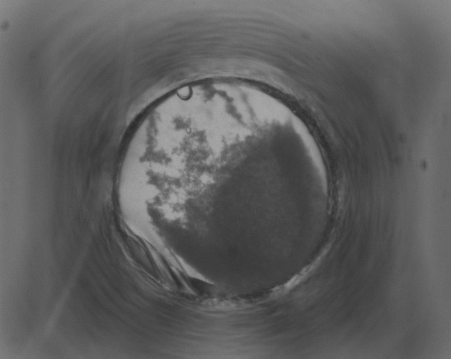 X0000087411505200705181344