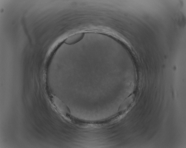 X0000087411506200705181344