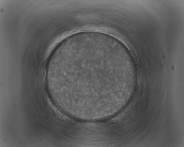 X0000087411507200705181344