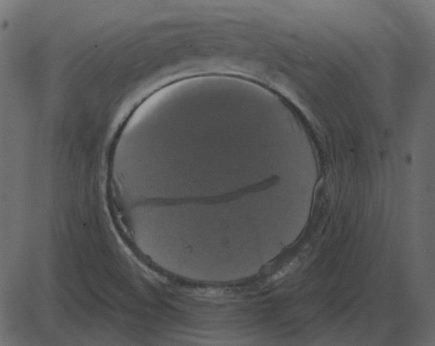 X0000087411508200705181344