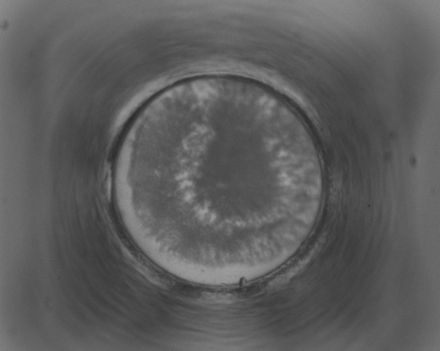 X0000087411509200705181344