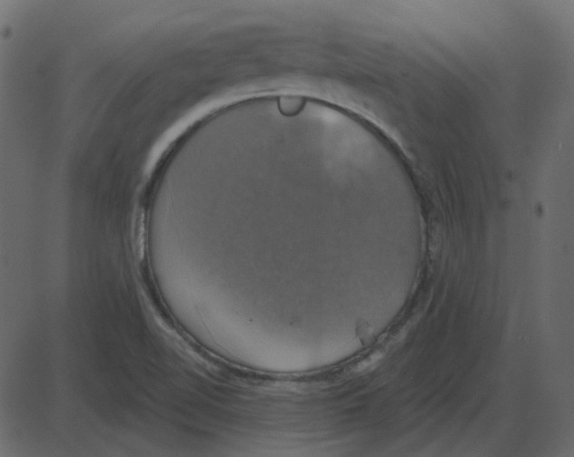 X0000087411510200705181344