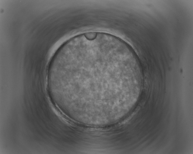 X0000087411511200705181344