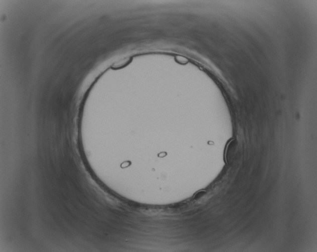 X0000087411512200705181344