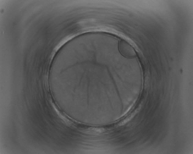 X0000087411513200705181344