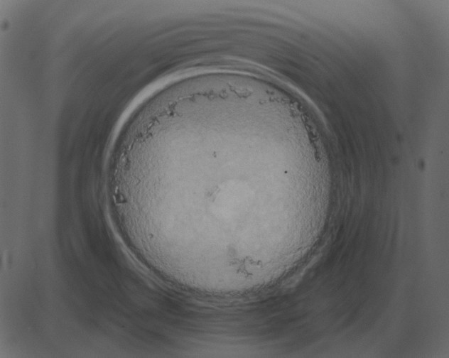 X0000087411514200705181344