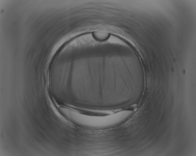 X0000087411515200705181344