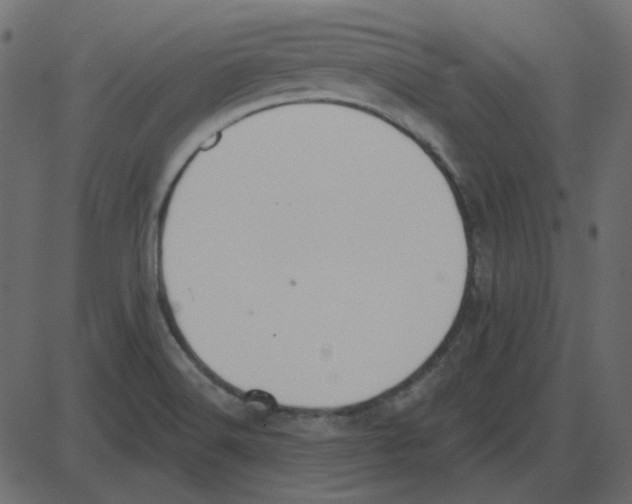 X0000087411516200705181344