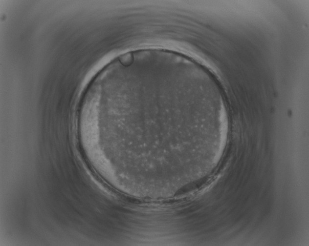 X0000087411517200705181344