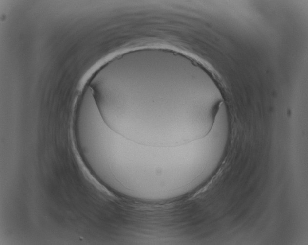 X0000087411518200705181344