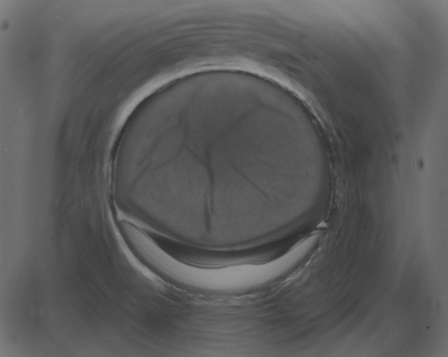 X0000087411519200705181344