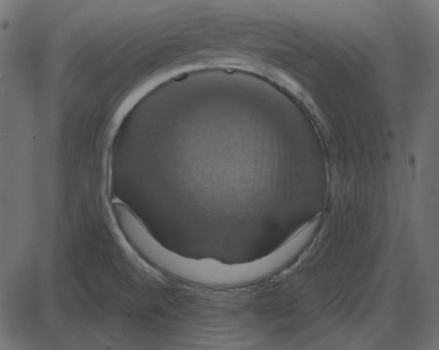 X0000087411520200705181344