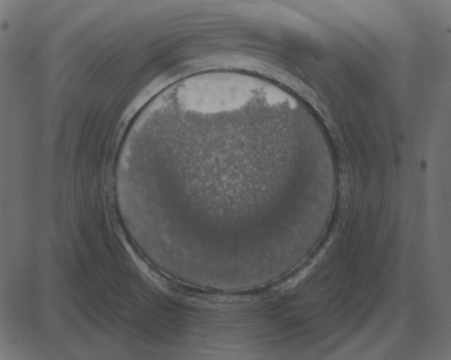 X0000087411521200705181344