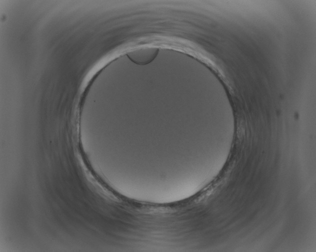 X0000087411522200705181345