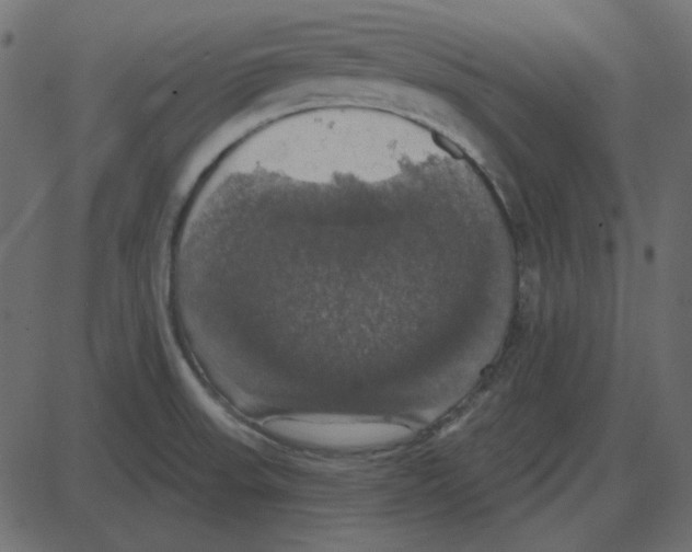 X0000087411523200705181345