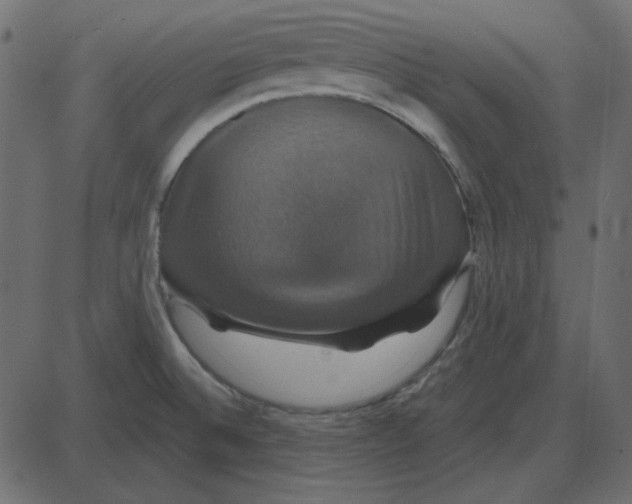 X0000087411524200705181345