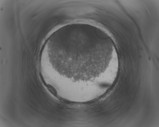 X0000087411525200705181345