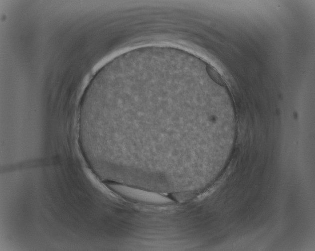 X0000087411526200705181345