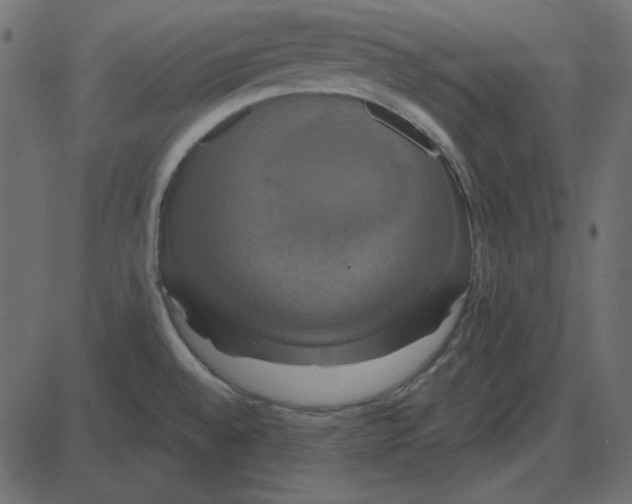 X0000087411528200705181345