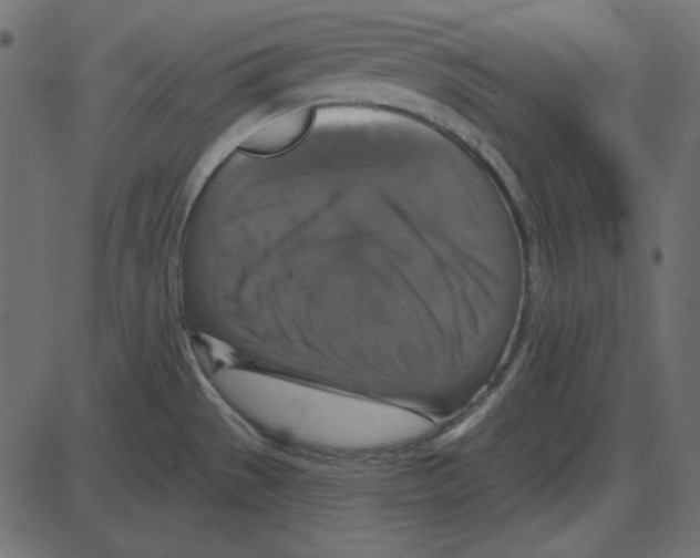 X0000087411529200705181345