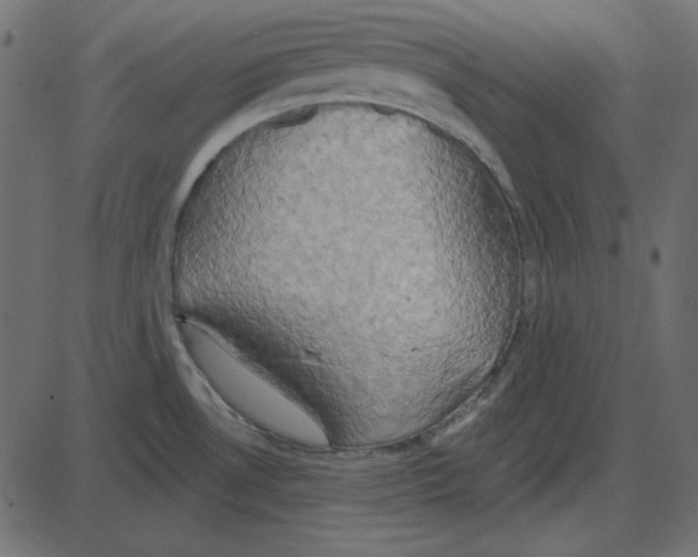 X0000087411530200705181345