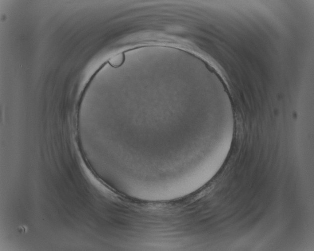 X0000087411531200705181345