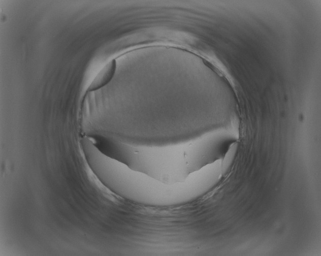 X0000087411532200705181345