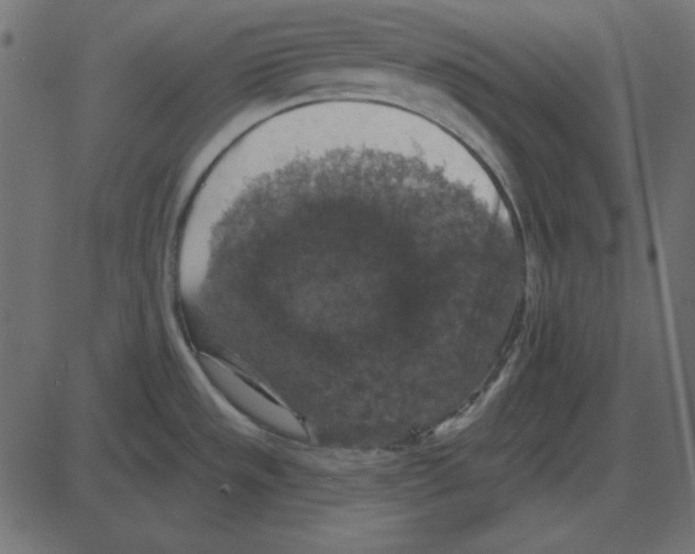 X0000087411533200705181345