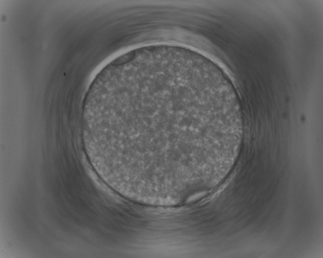 X0000087411534200705181345