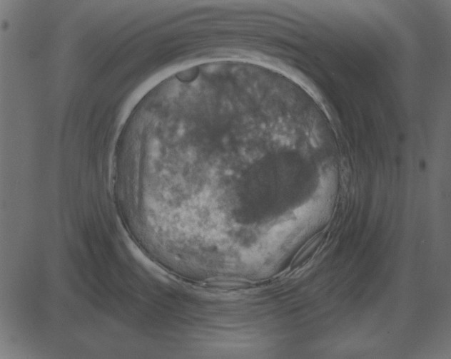 X0000087411535200705181345