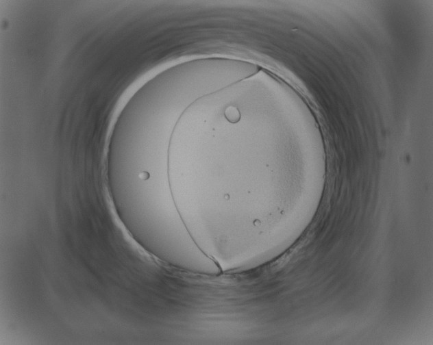 X0000087411536200705181345