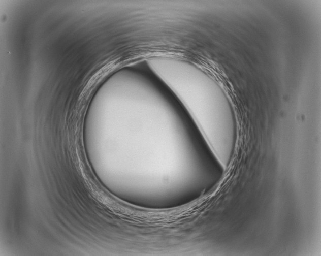 X0000087420001200704201057