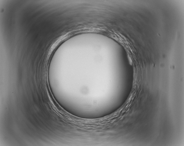 X0000087420003200704201057