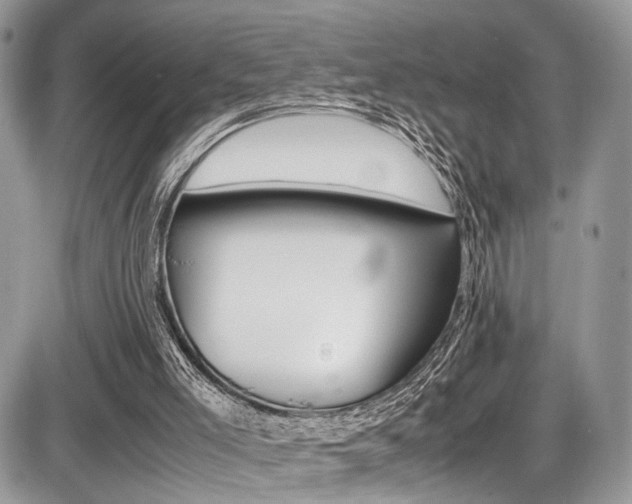 X0000087420005200704201057